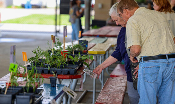 Douglas County master gardeners to host annual native plant sale